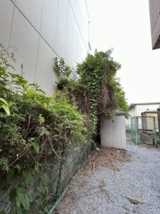 伸びすぎた植栽を綺麗に伐採