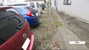 美観維持で満足度アップ＆解約防止！除草の手配はお早めに！