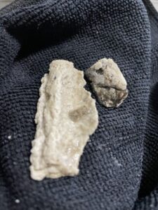 排水管洗浄で排水つまりの原因見つけた！問題が起こる前に回避して入居者満足度も向上
