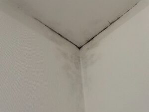 室内のカビ外壁からの漏水かもしれません！ 問題が大きくなる前に計画的な修繕を